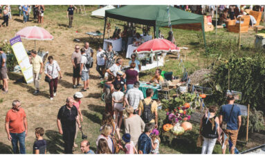 Faites des légumes et des jardins