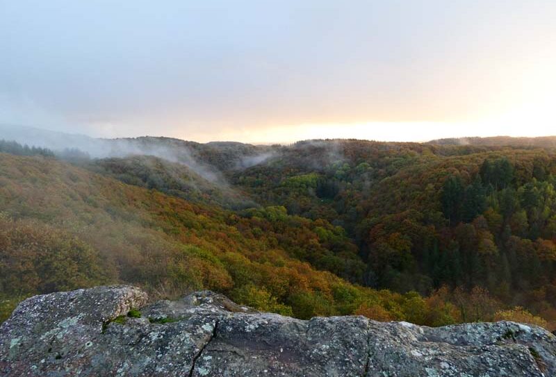 Vallée de la Rouvre – St Philbert sur Orne