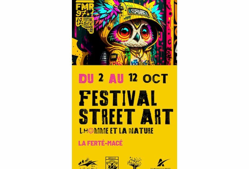 Festival-street-art-FMR-2024-instagram-story-576×1024