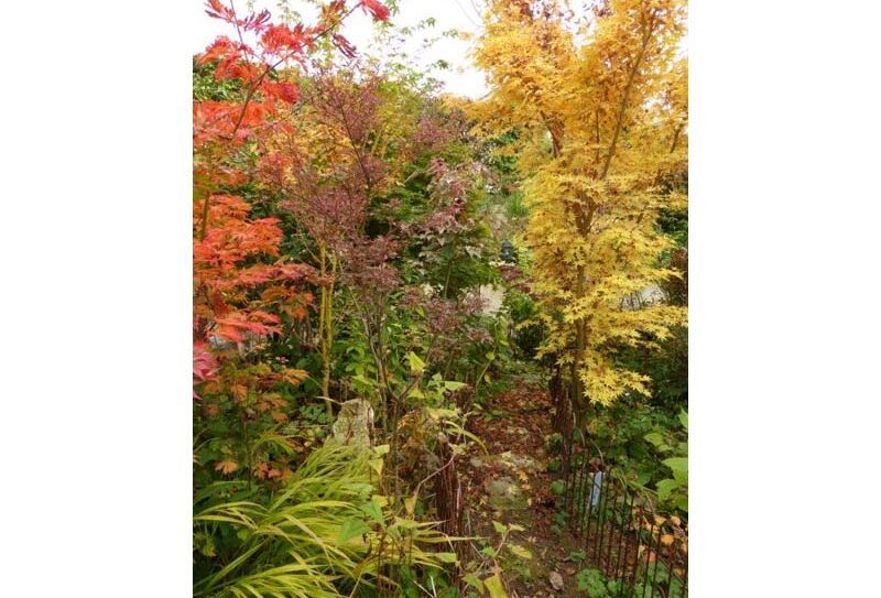 Jardin Bleuenn – La Ferté Macé