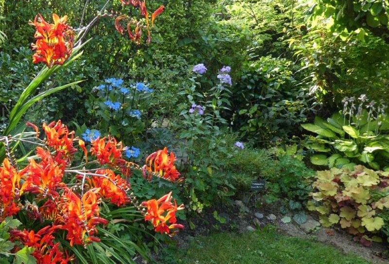 Jardin Bleuenn – La Ferté Macé