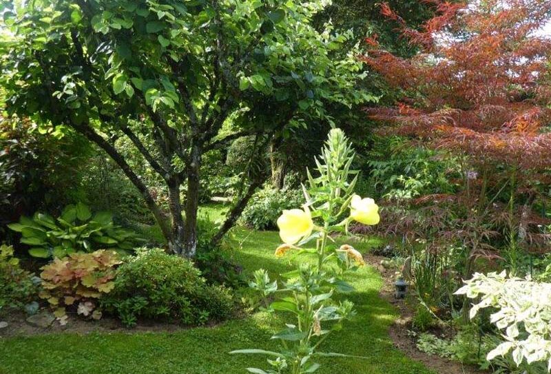 Jardin Bleuenn – La Ferté Macé