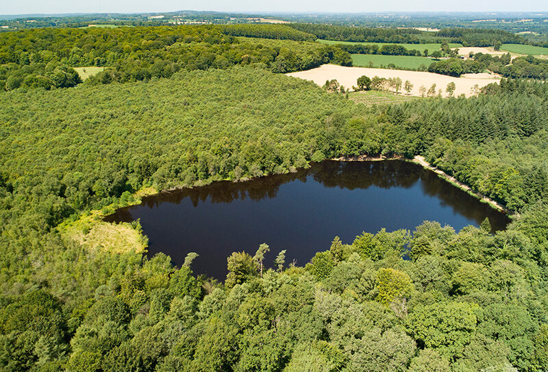 Etang de la lande forêt – Le Grais