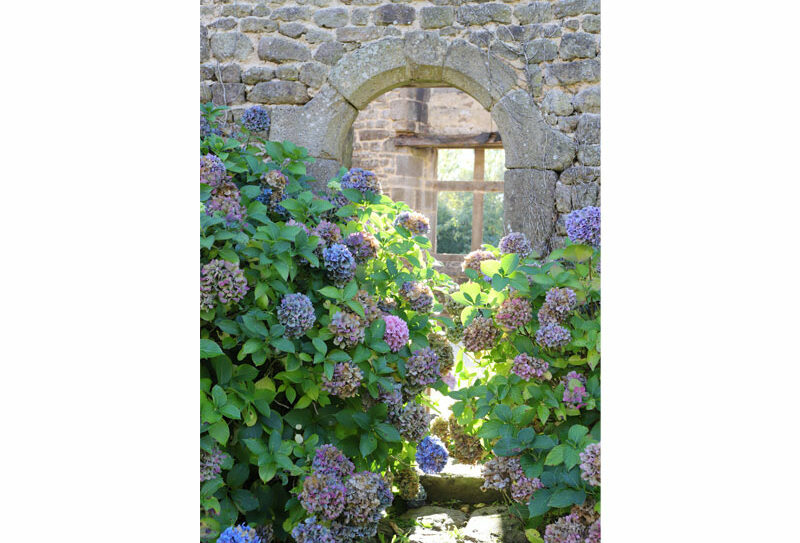 Jardin du manoir de la Boisnerie – Ste Honorine la Chardonne