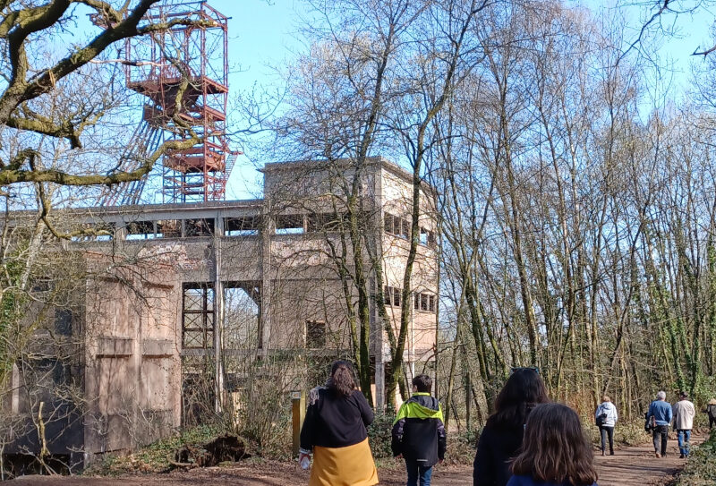 Rando guidée la mine en forêt de Halouze