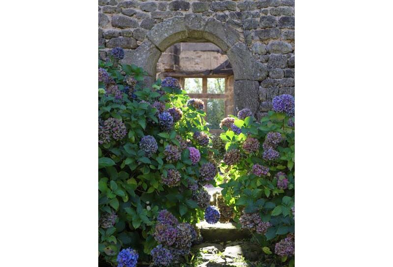 Manoir de la Boisnerie – Ste Honorine la Chardonne