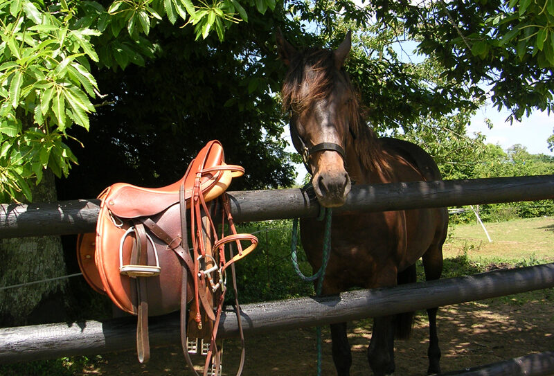 centre equestre