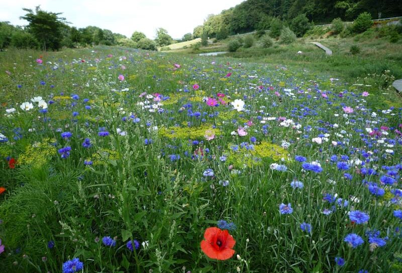 ©Collines de Normandie