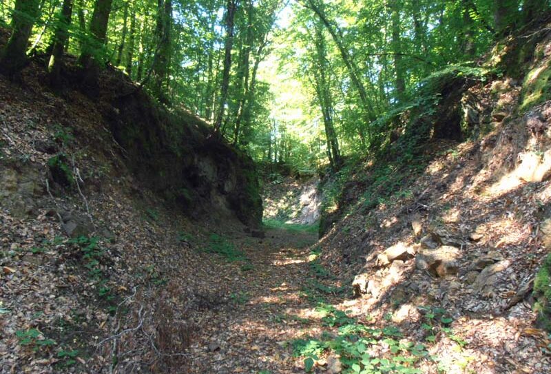 Minière de La Ferrière aux Etangs