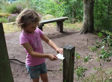 Parcours d'orientation à la Roche d'Oëtre