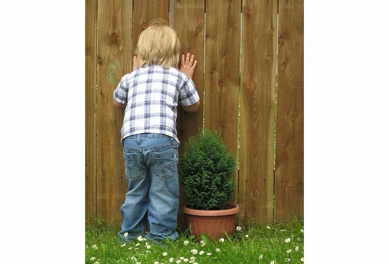 photolibrededroitenfant