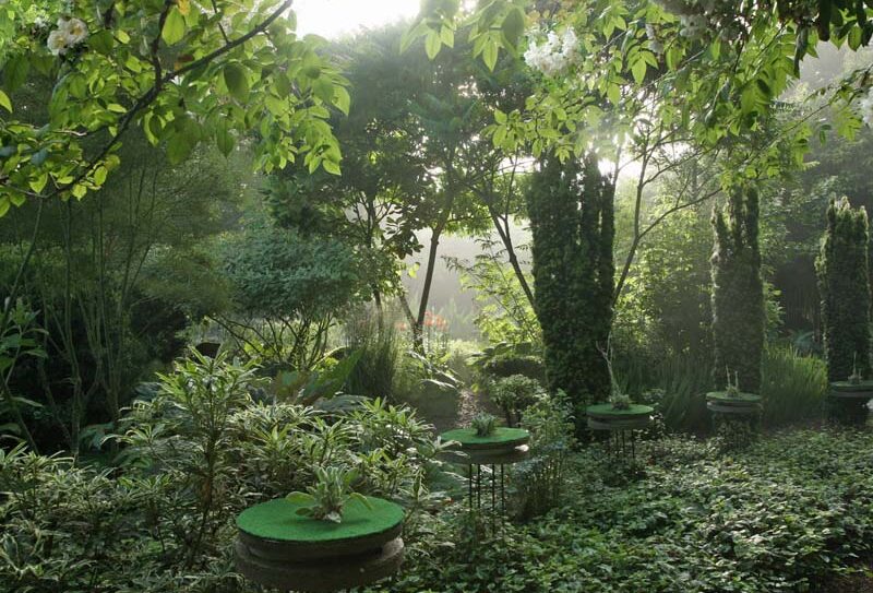 Jardin Intérieur à ciel ouvert – Athis de l’Orne