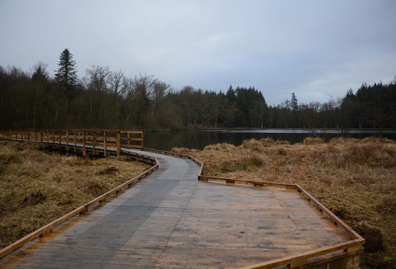 Etang de la lande forêt – Le Grais