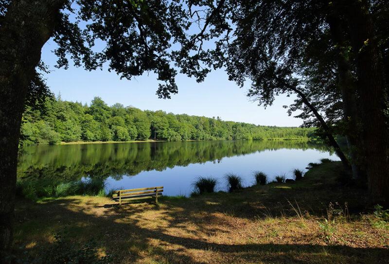 Etang de la lande forêt – Le Grais