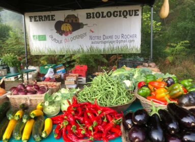 Autour du Potager