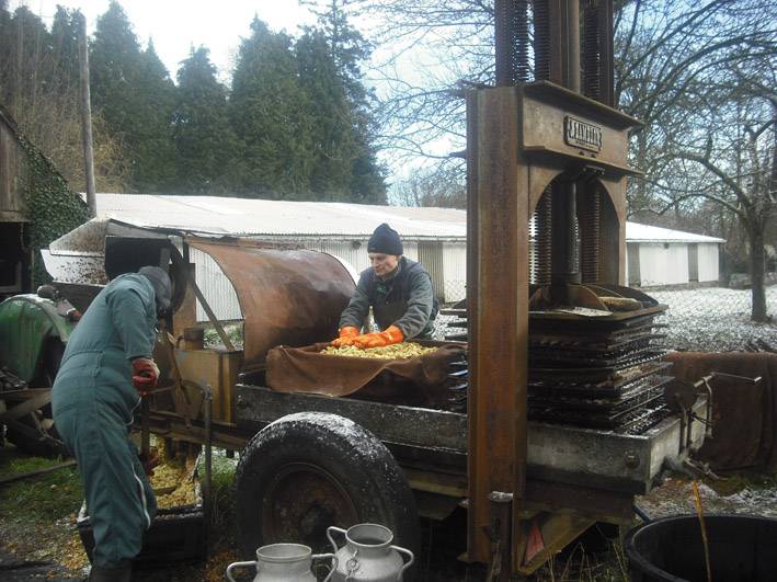 ferme de la ribardiere cidre athis de l’orne