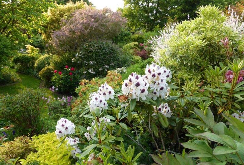 Jardin Bleuenn – La Ferté Macé