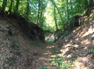 Minière de La Ferrière aux Etangs