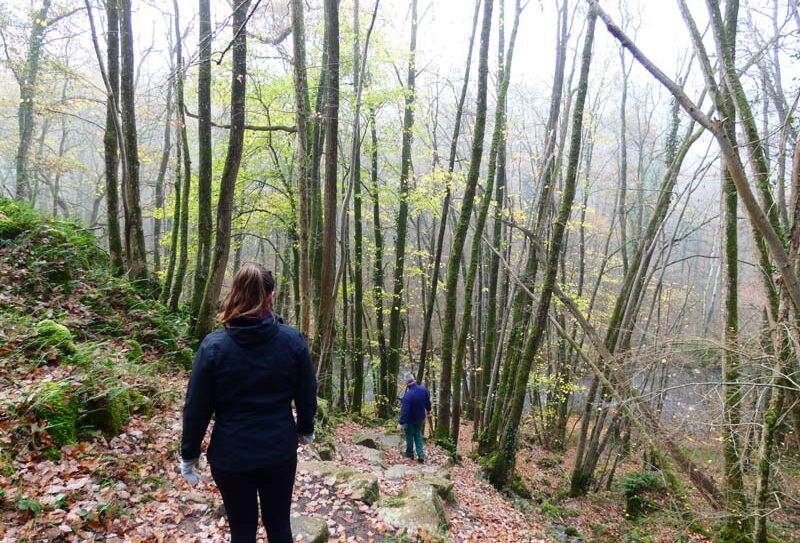 Gorges de la Rouvre – St Philbert sur Orne