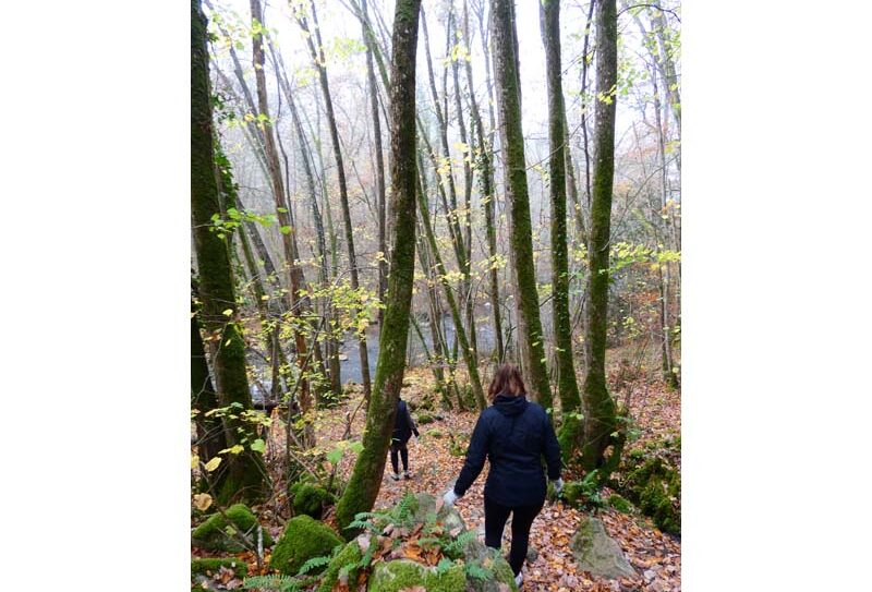 Gorges de la Rouvre – St Philbert sur Orne