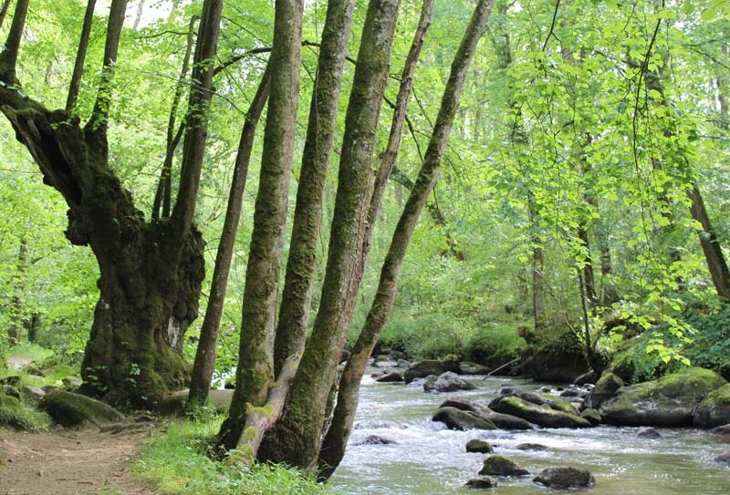 Gorges de la Rouvre – St Philbert sur Orne